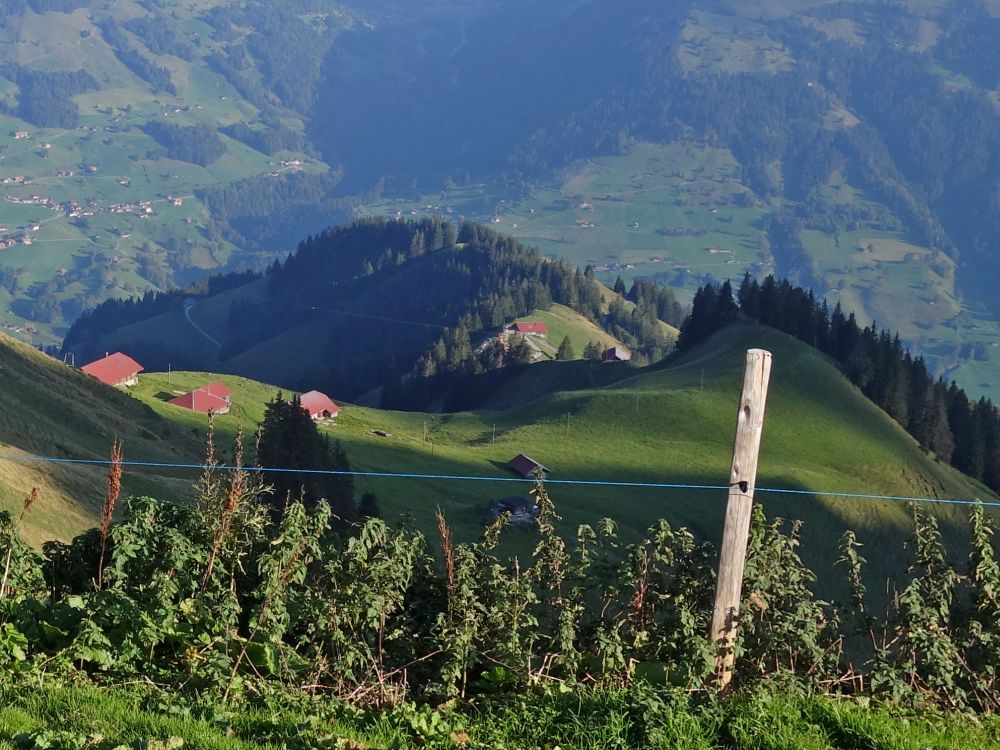 Alp Oberniesen