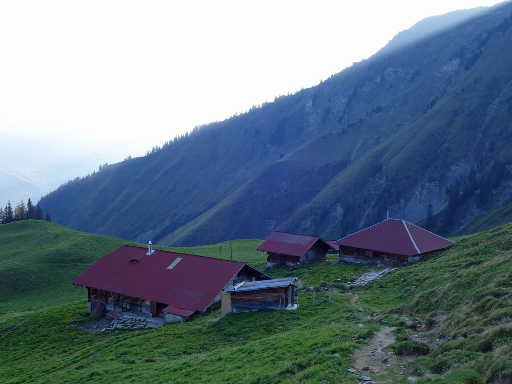 Alp Oberniesen