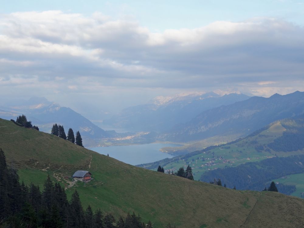 Blick zum Thunersee