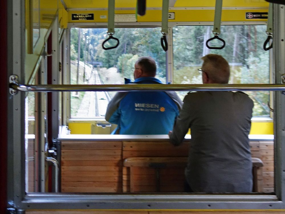 Talfahrt mit Niesenbahn