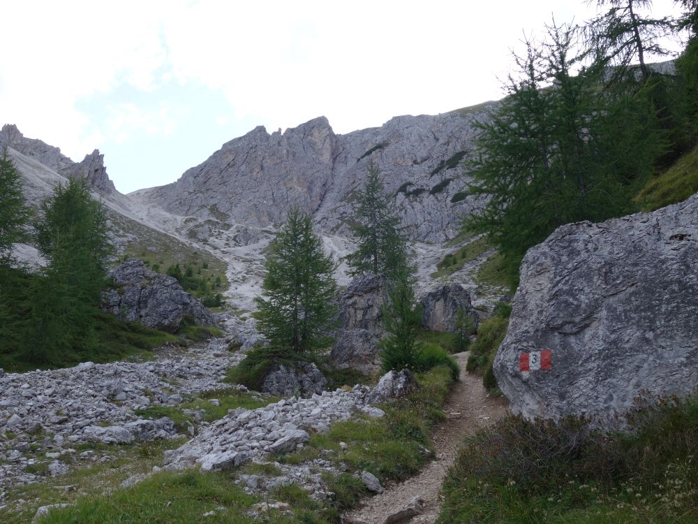 Bergweg durch Lärchen