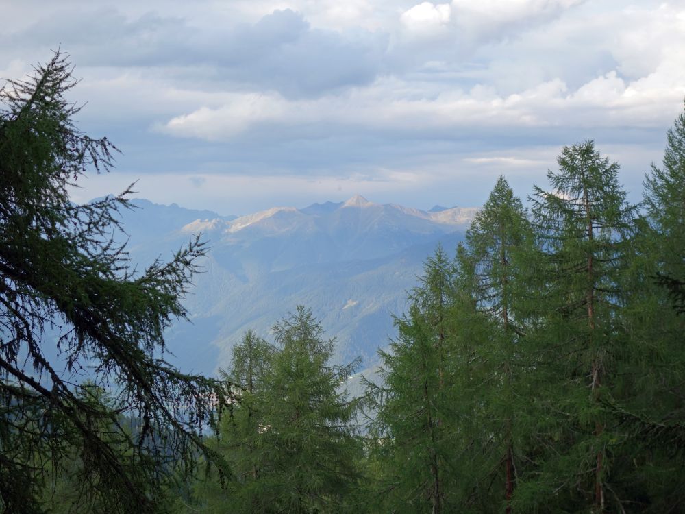 Berge zwischen Lärchen