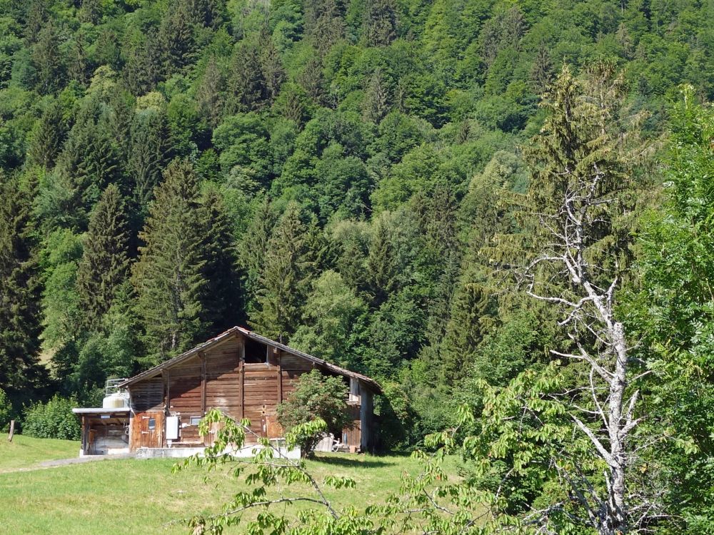 Bauernhof über Zwirgi