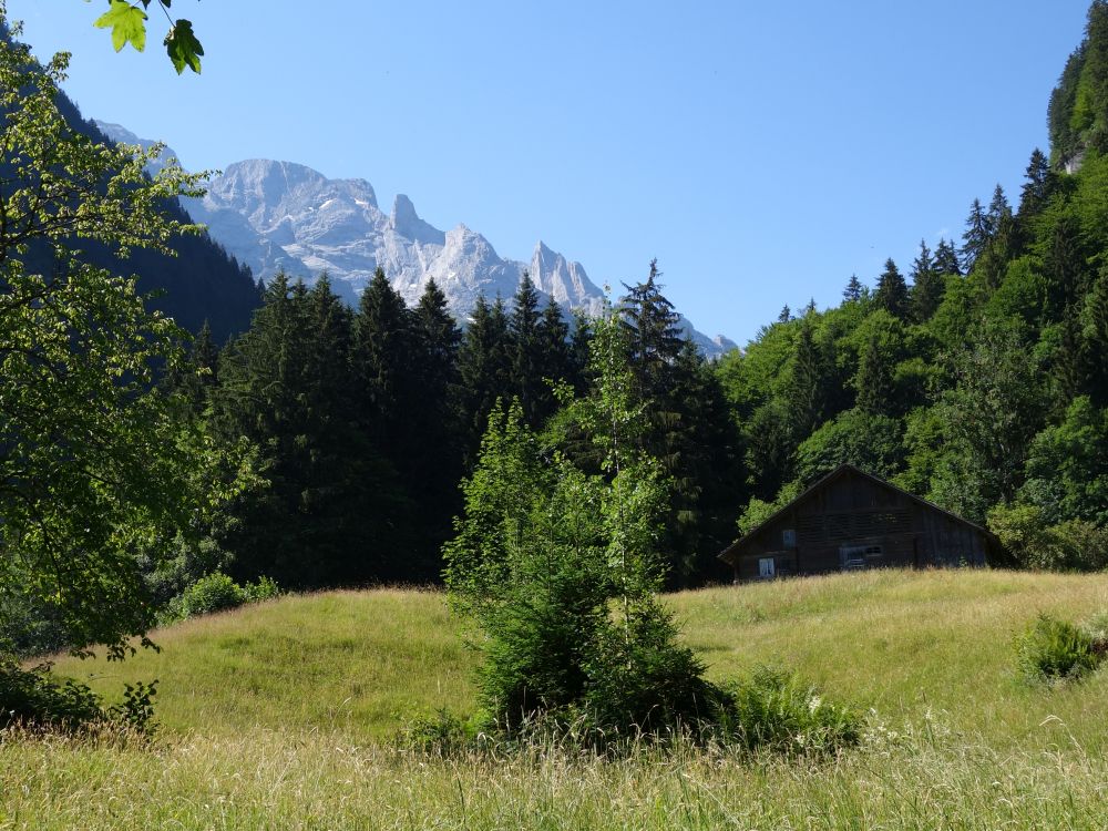 Berglandschaft