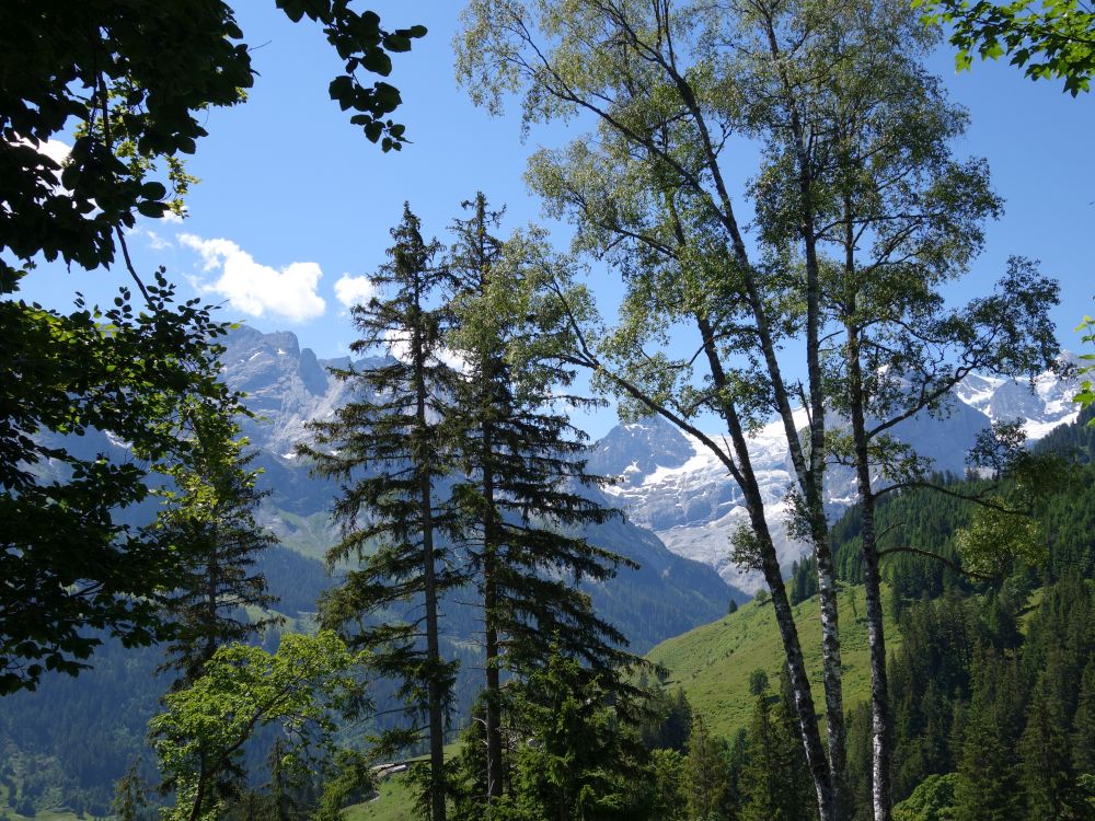 Berggipfel hinter Bäumen