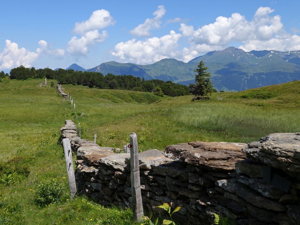 Grenzmauer aus Naturstein