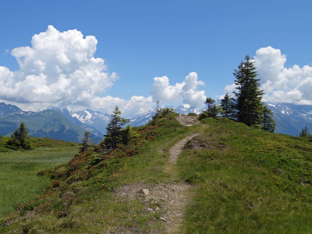 Bergweg und Wolken