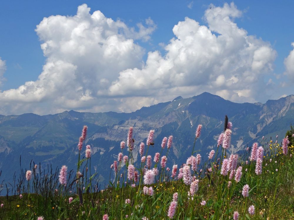 Blick Richtung Brienzer Rothorn