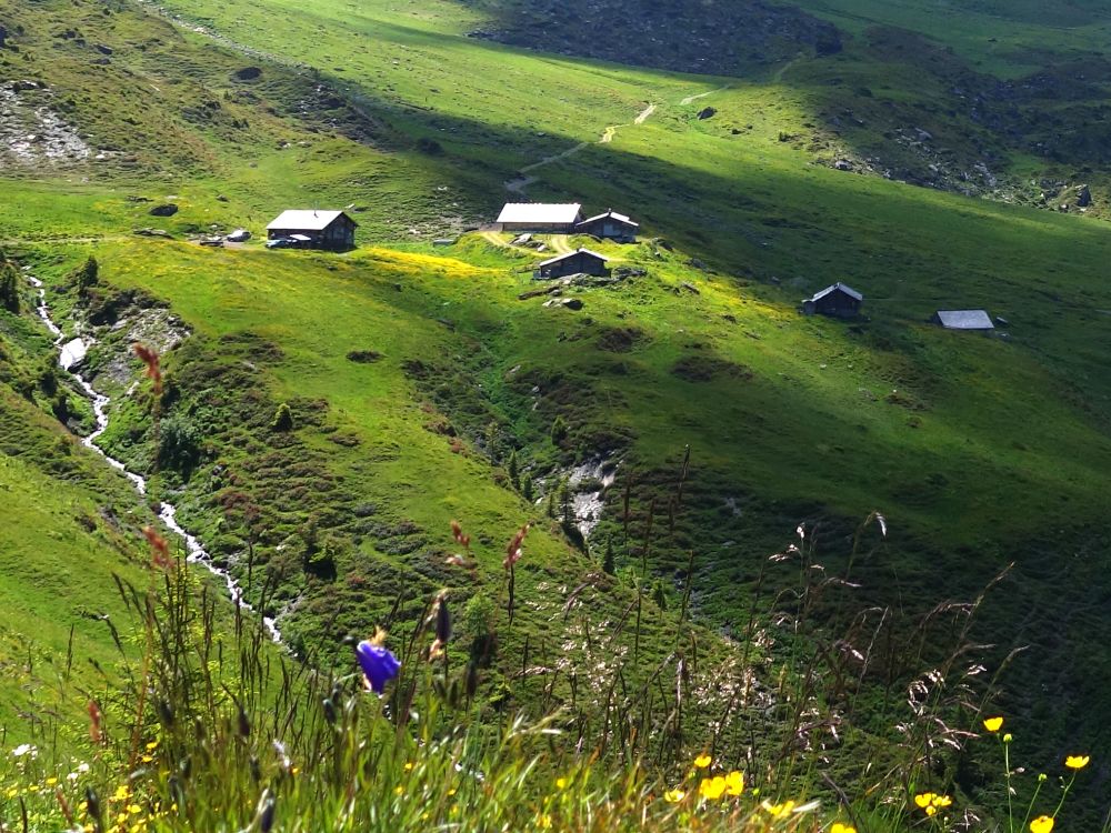 Wandelalp Ober-Stafel