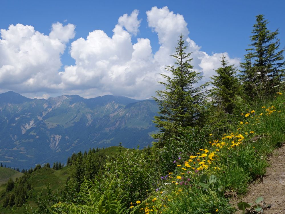 Wolken über dem Riedergrat