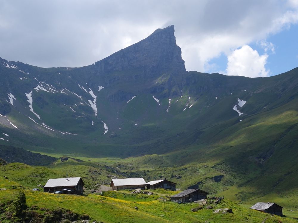 Garzen über der Wandelalp