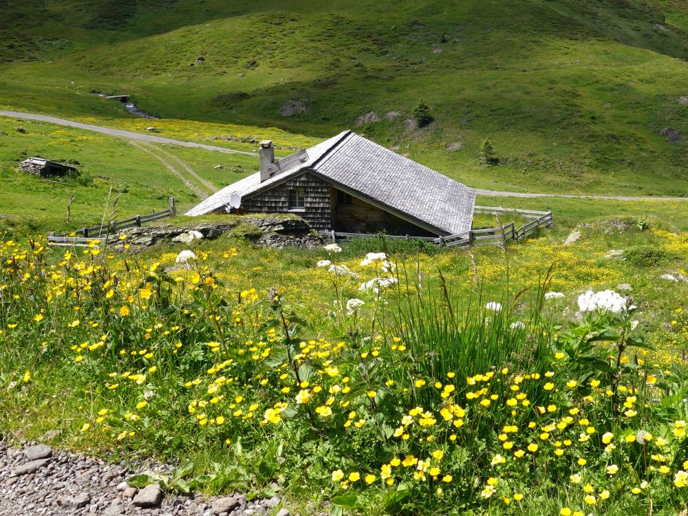 Holzhaus auf der Wandelalp