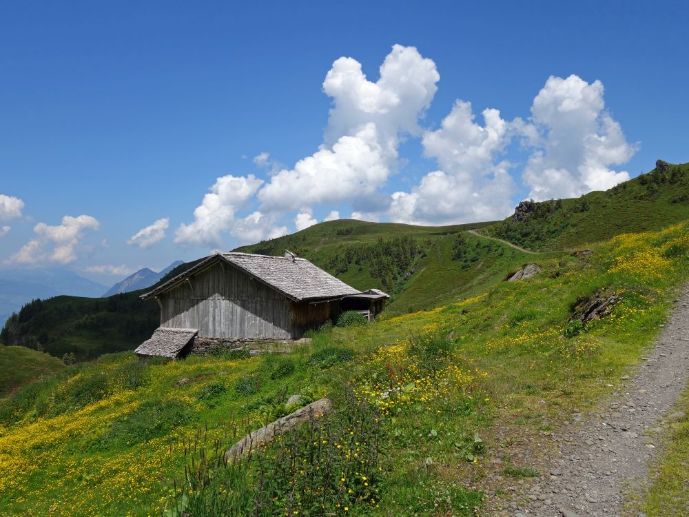 Holzhaus auf der Wandelalp