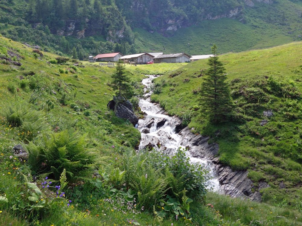 Bach bei der Wandelalp