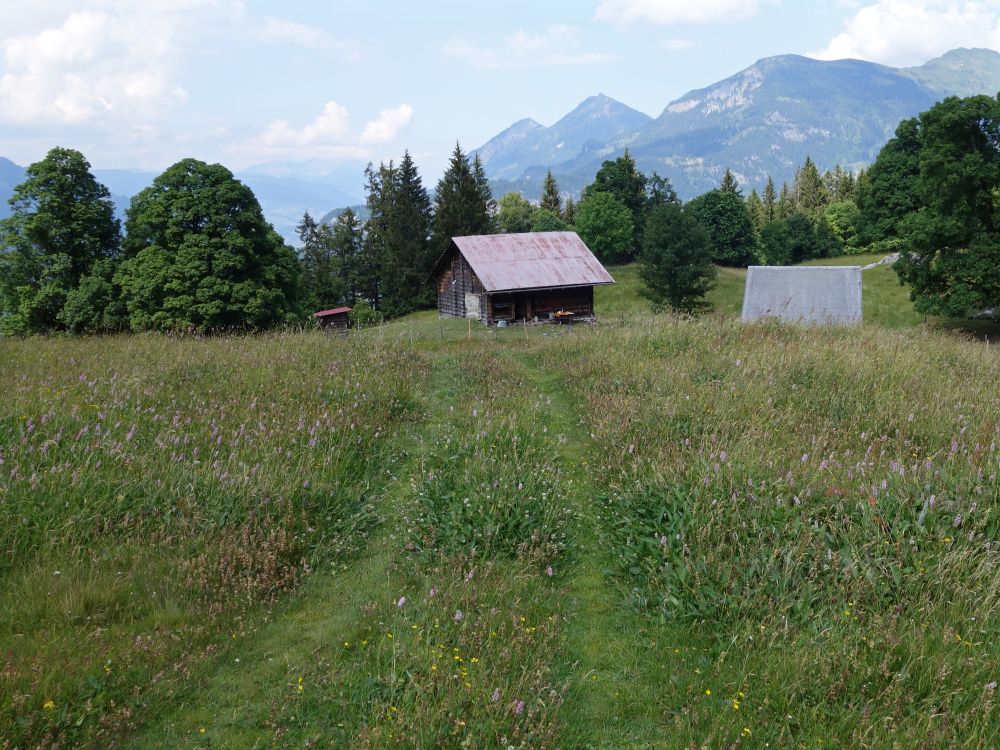 Hütte auf Isetwald