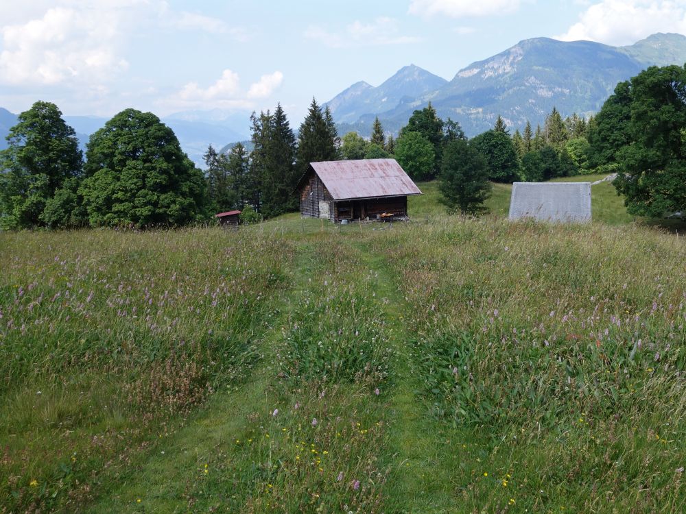 Hütte auf Isetwald