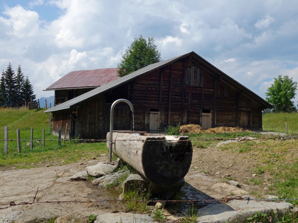 Bauernhof auf Isetwald