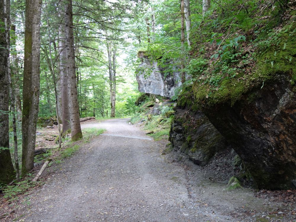 Waldweg