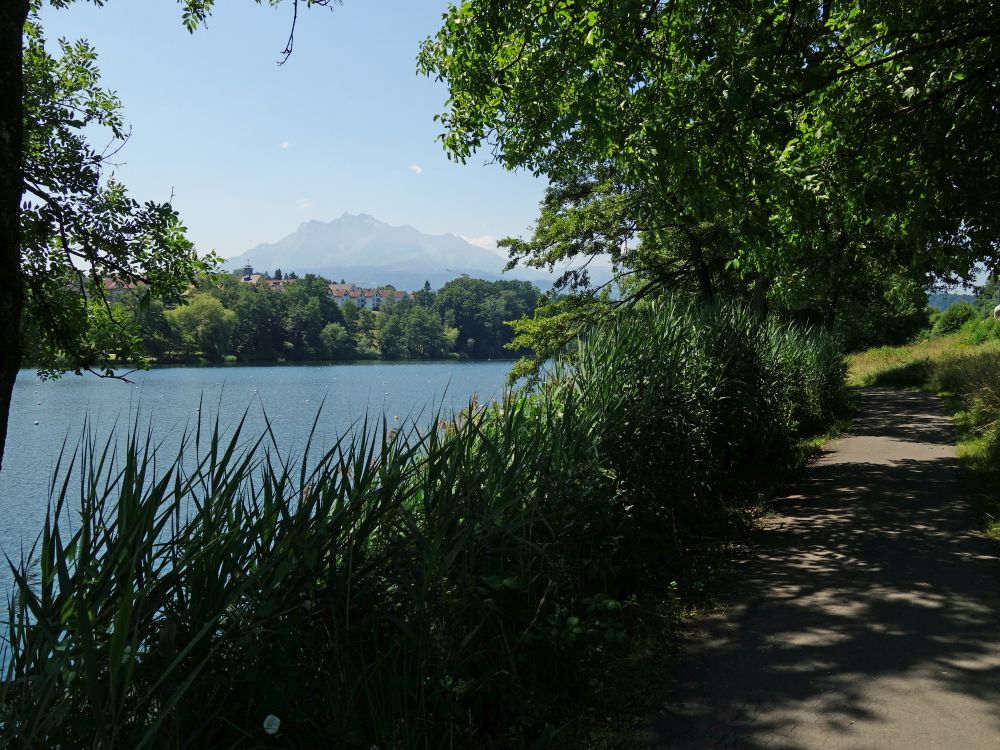 Rotsee mit Pilatus