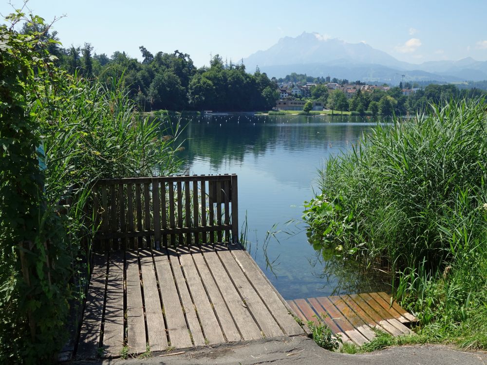 Steg am Rotsee mit Pilatus