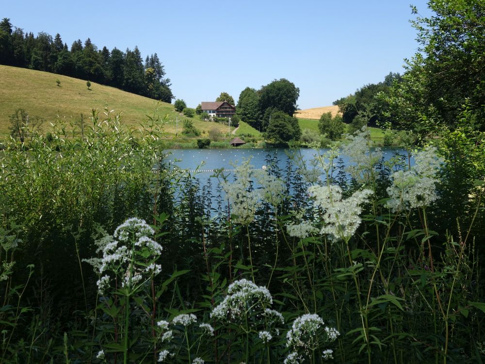 Seehof am Rotsee