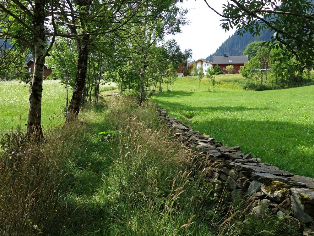 Wanderweg an Steinmauer