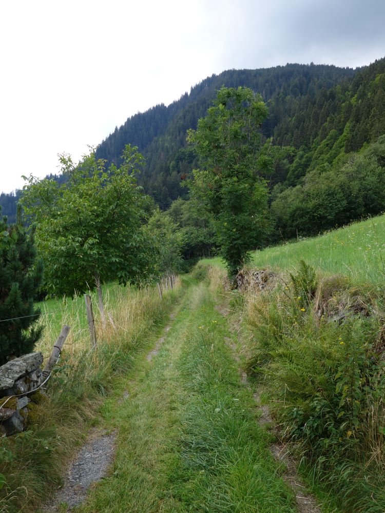 Wanderweg