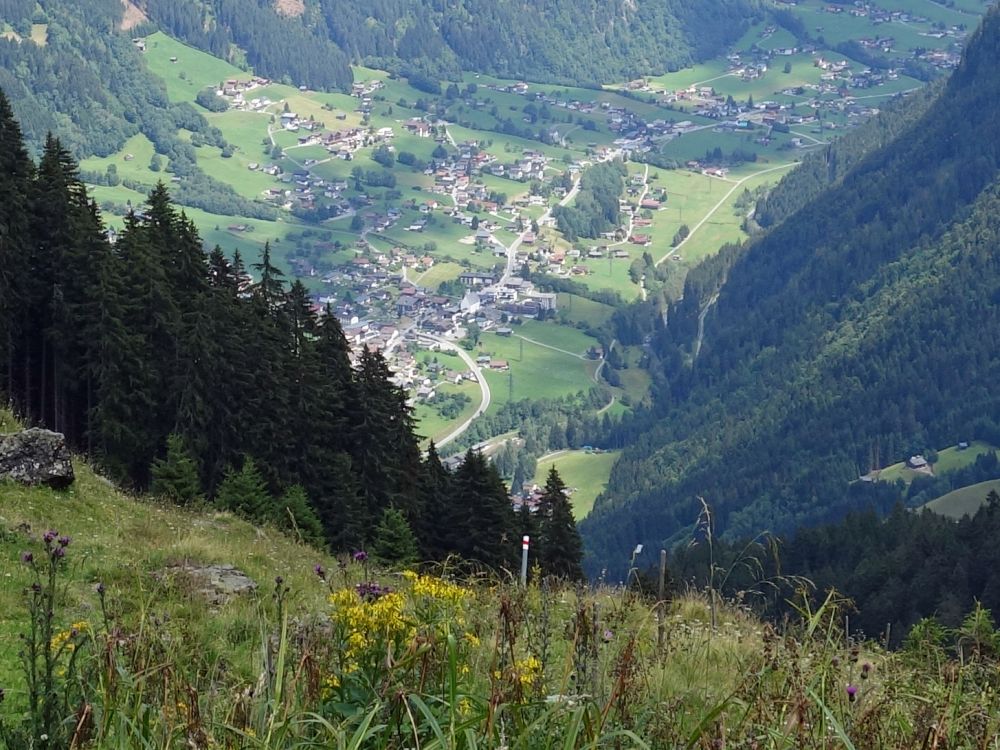 Blick auf St. Gallenkirch