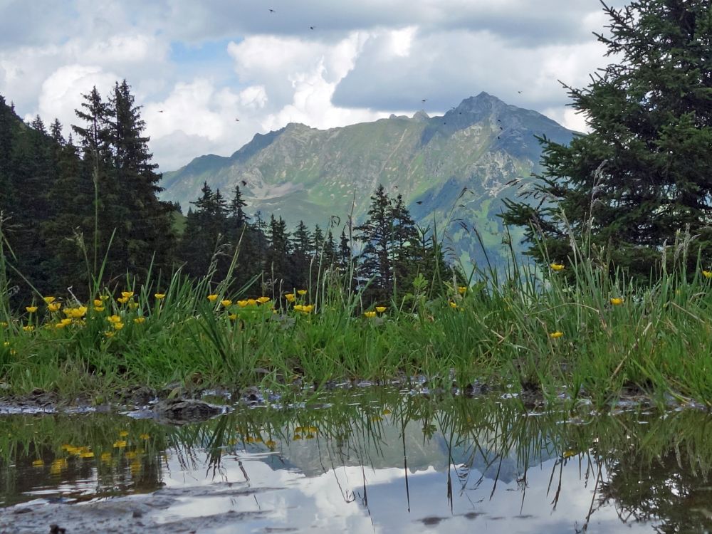 Kreuzjoch mit Spiegelung