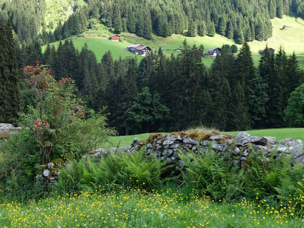 Natursteinmauer