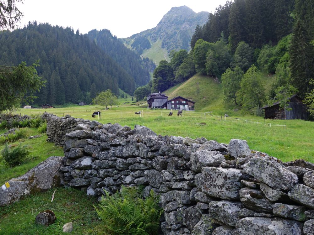 Natursteinmauer