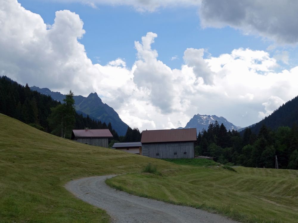 Neuberg Alm