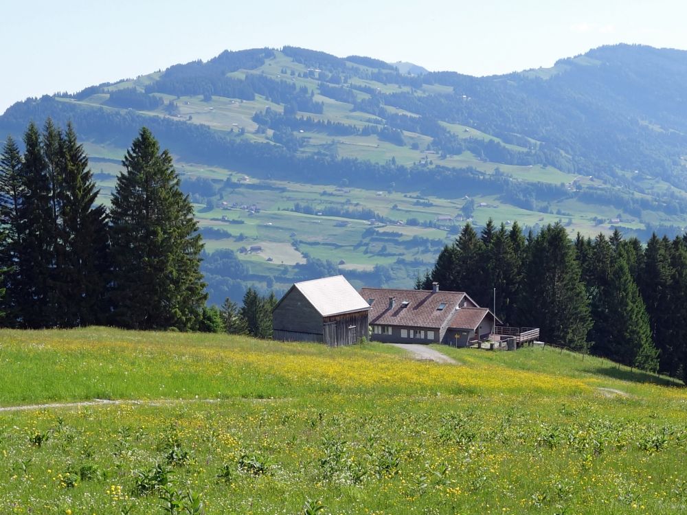 Bauernhof auf der Wolzenalp