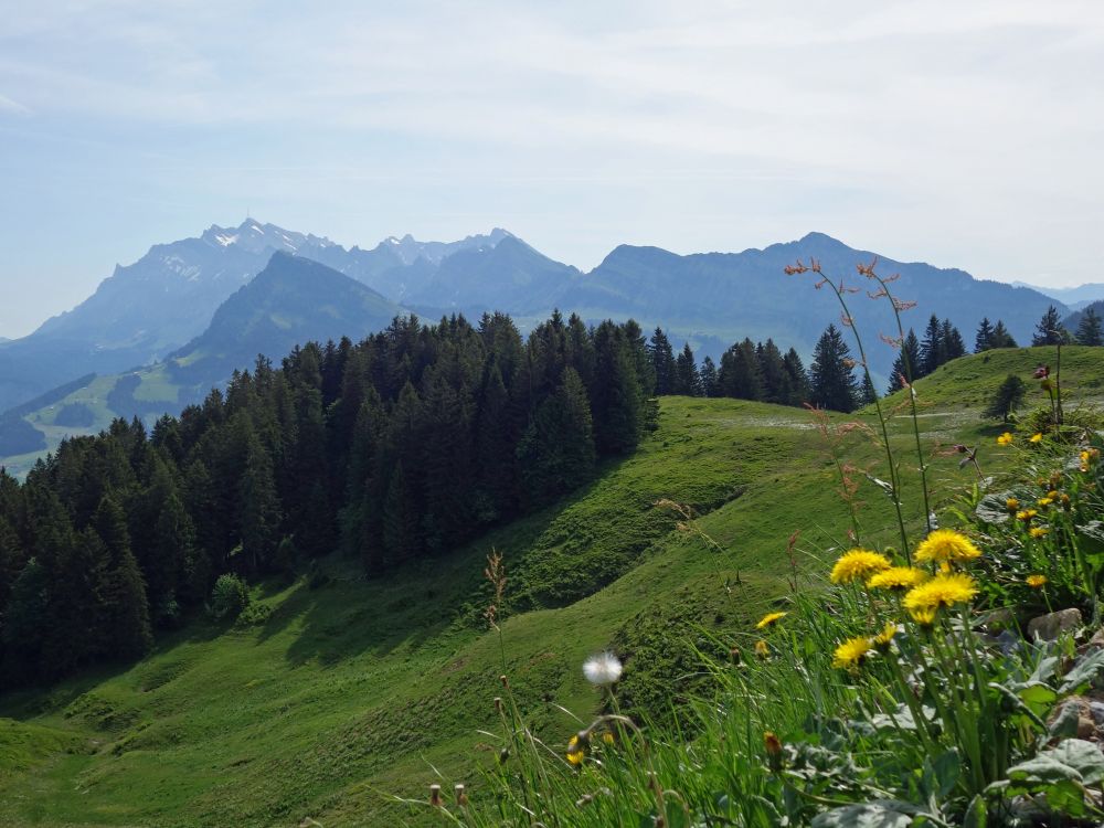 Blick zum Alpstein