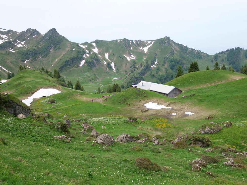 Bützalp