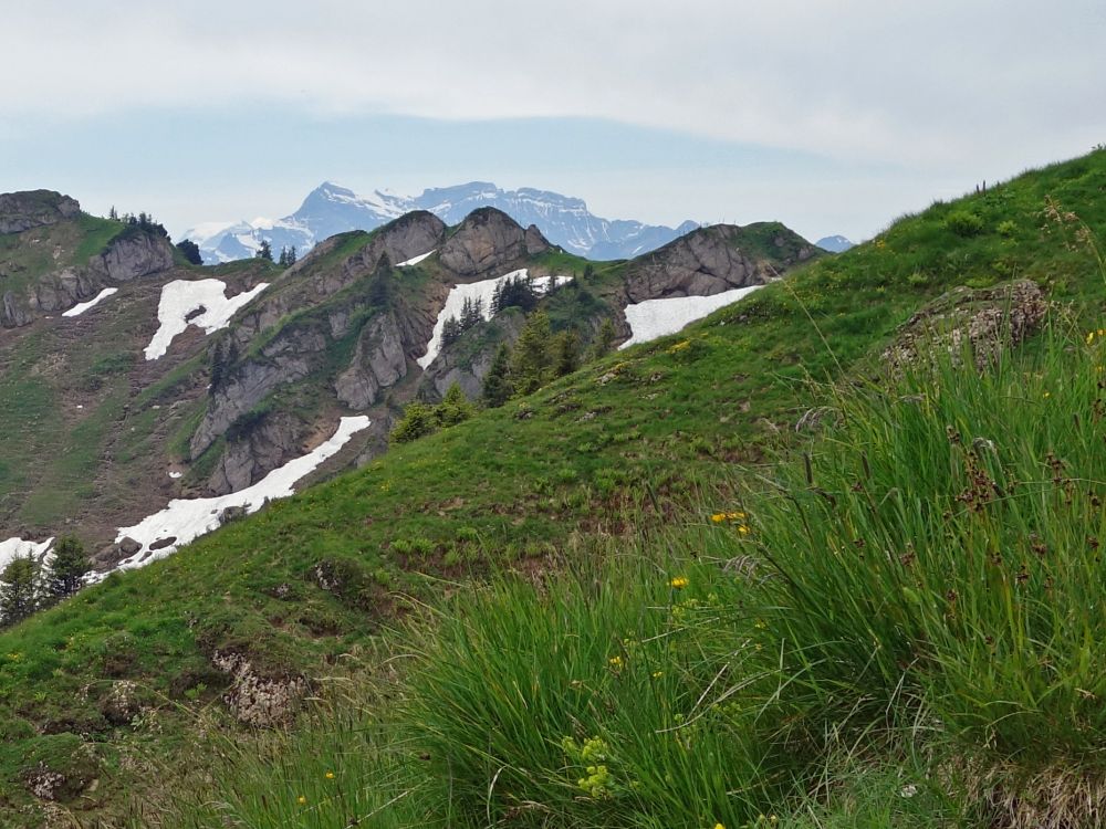 Glarner Alpen am Horizont