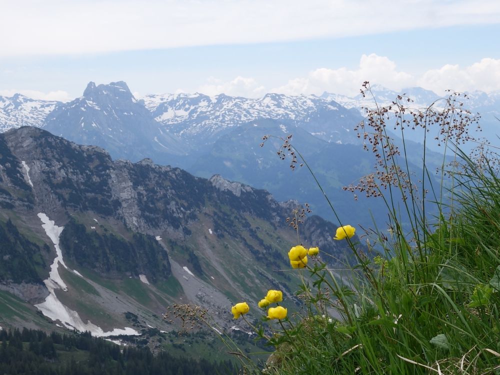 Blick Richtung Mürtschenstock