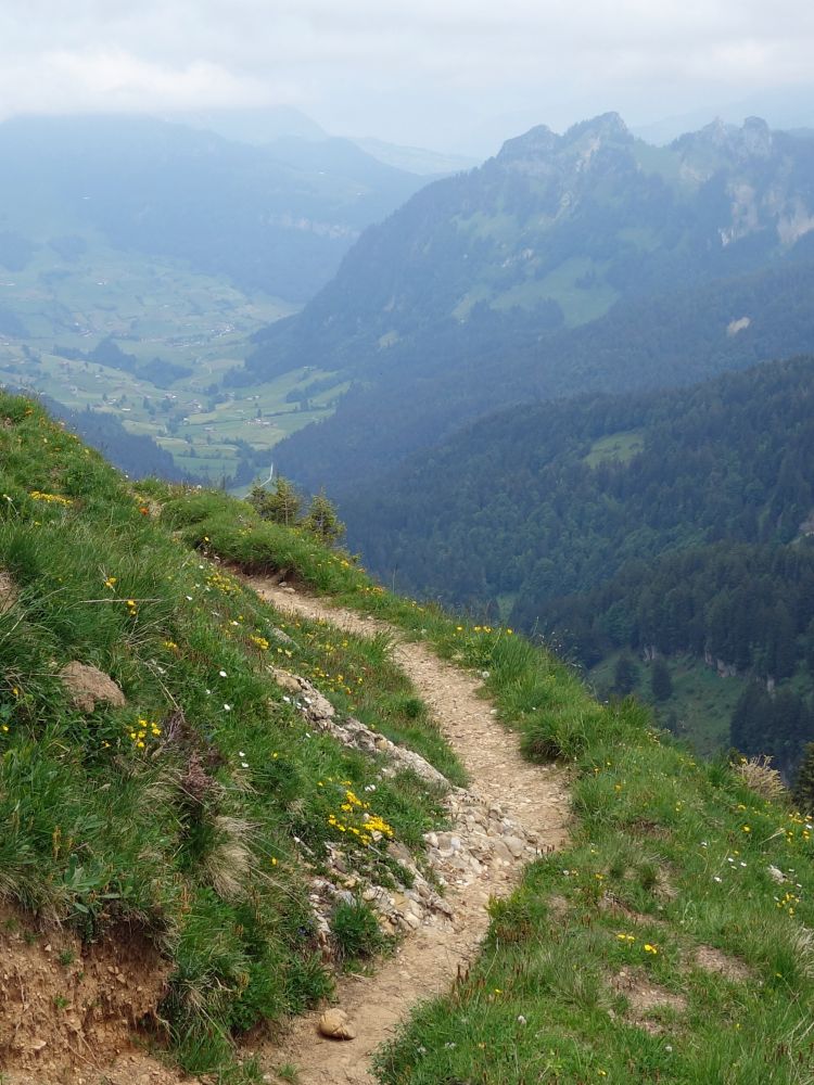 Pfad mit Blick auf die Goggeien