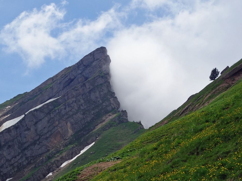 Wolkenbremse