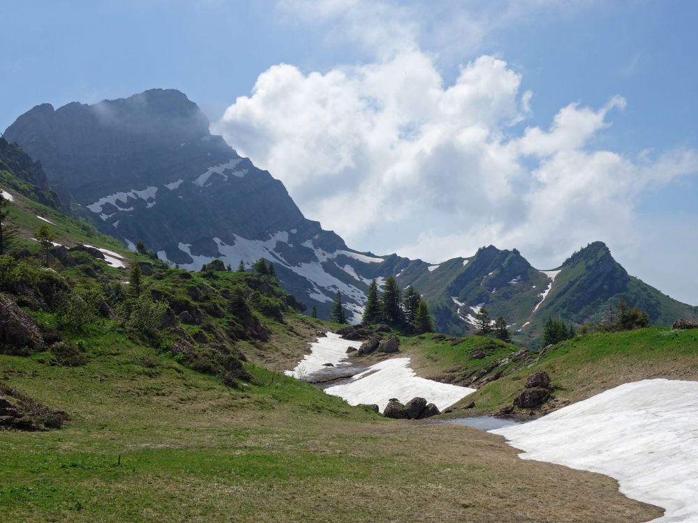 Speer mit Schneeresten