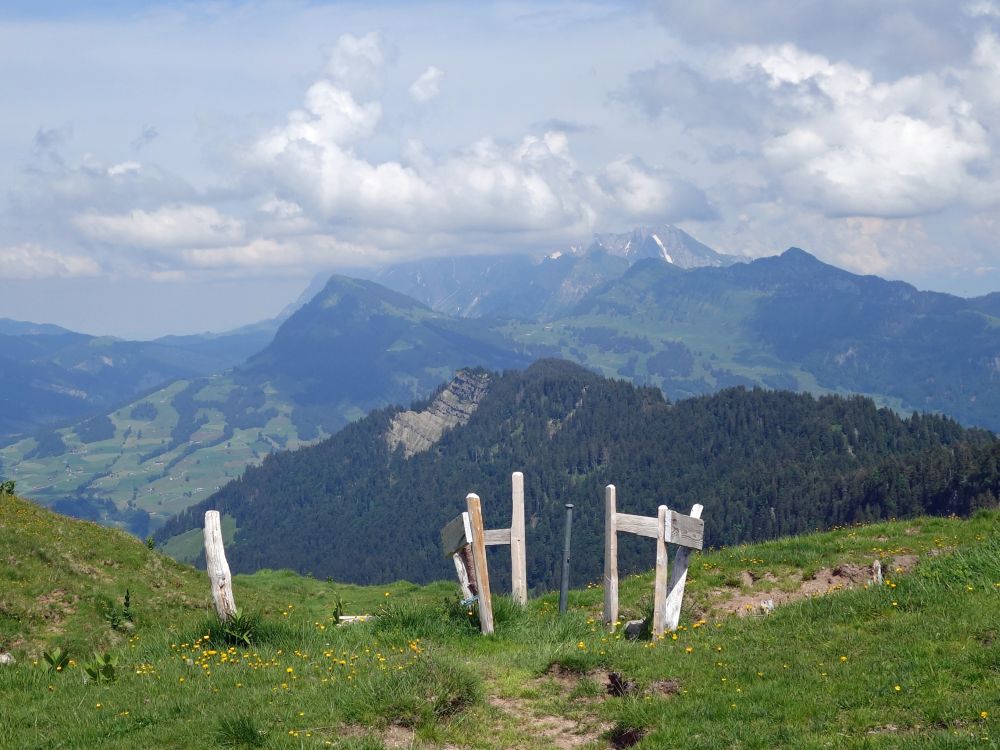 Blick Richtung Alpstein