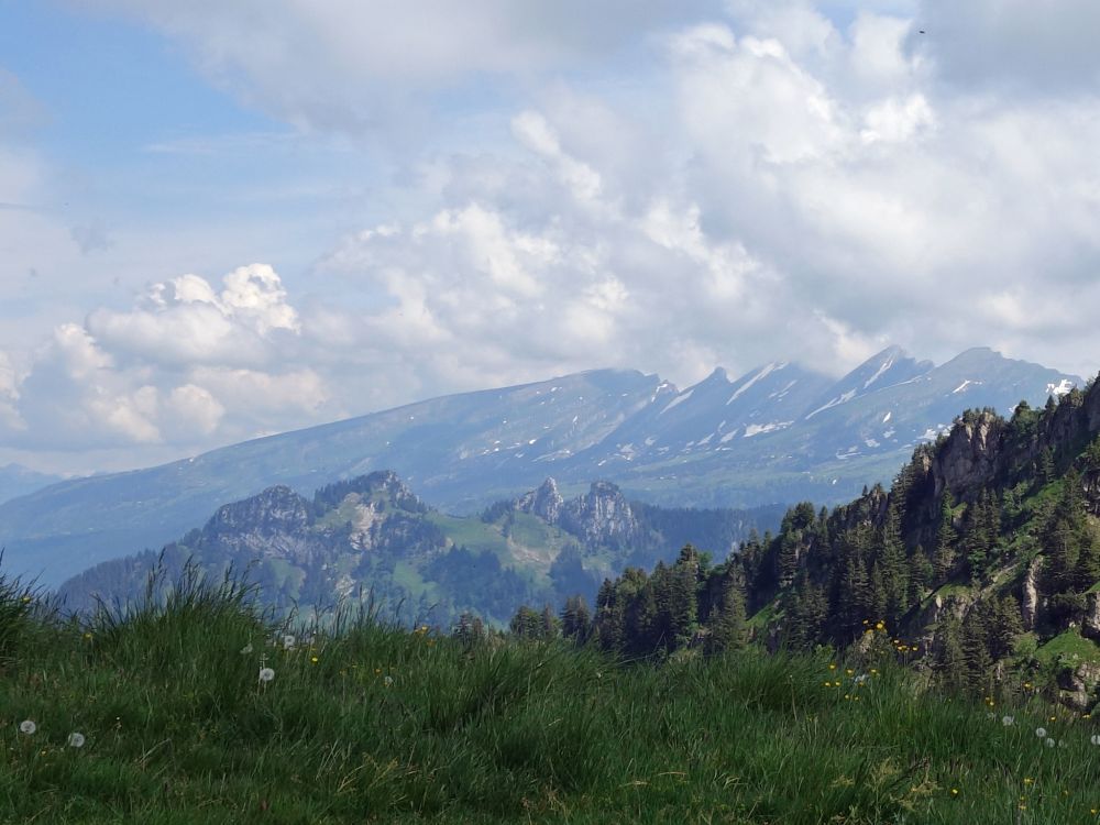 Goggeien und Churfirsten