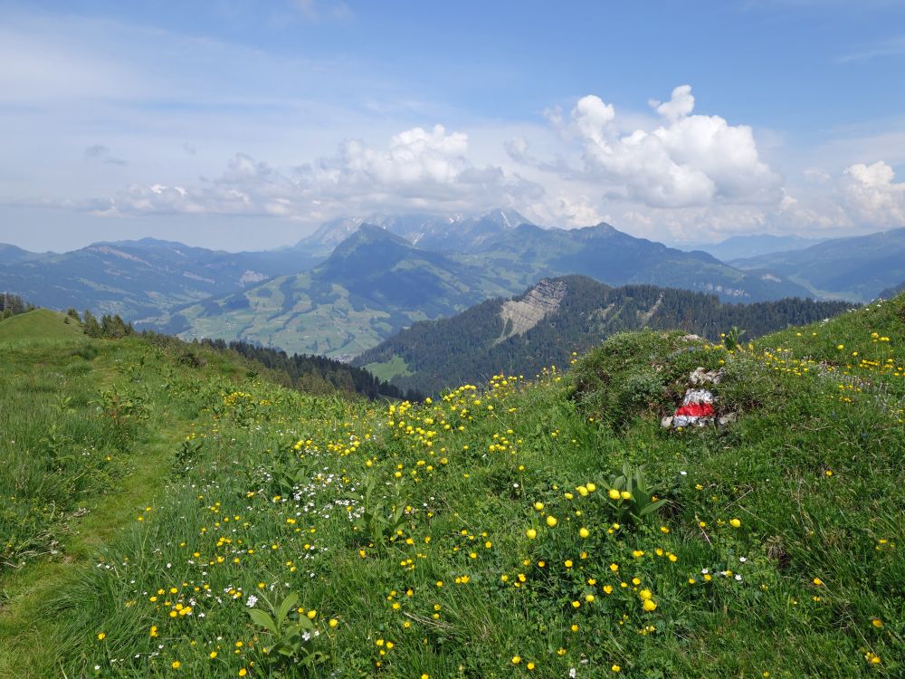 Alpstein in Wolken