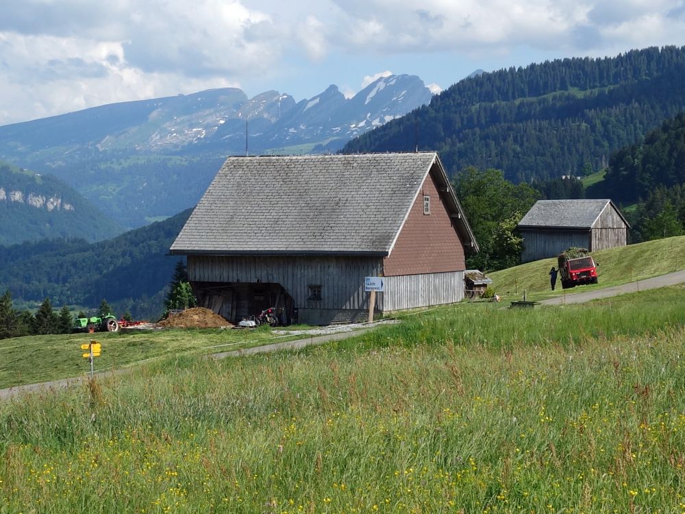 Scheune auf der Wolzenalp