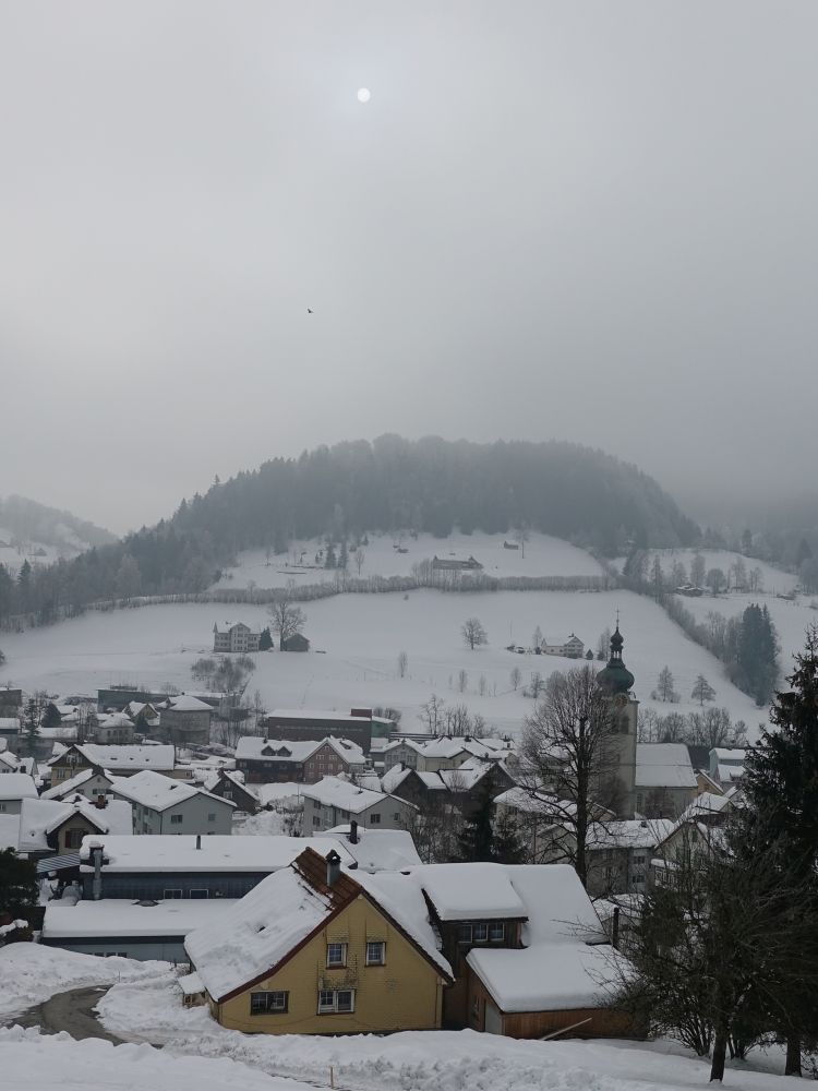 Nebel über Bühler