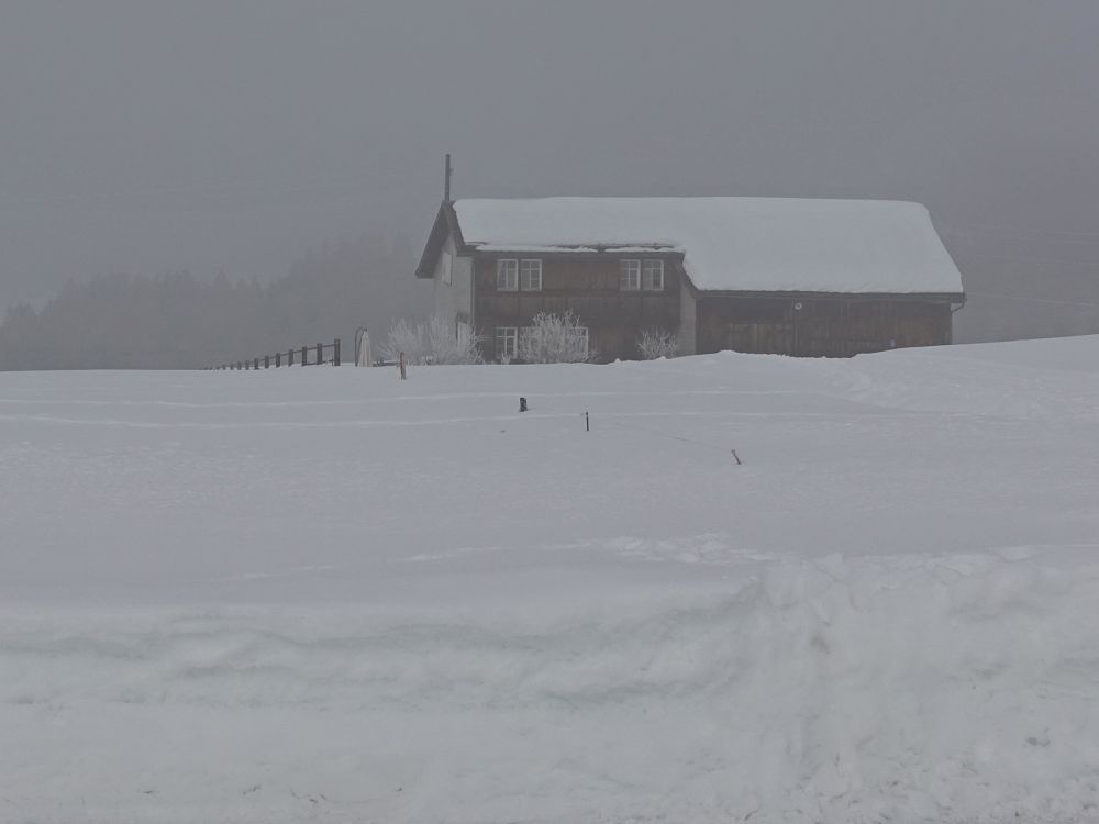 Bauernhof im Nebel