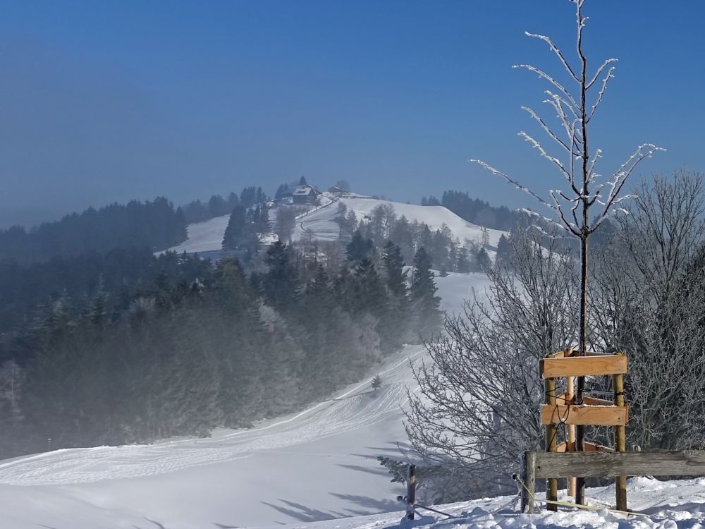 Blick auf Hohe Buche