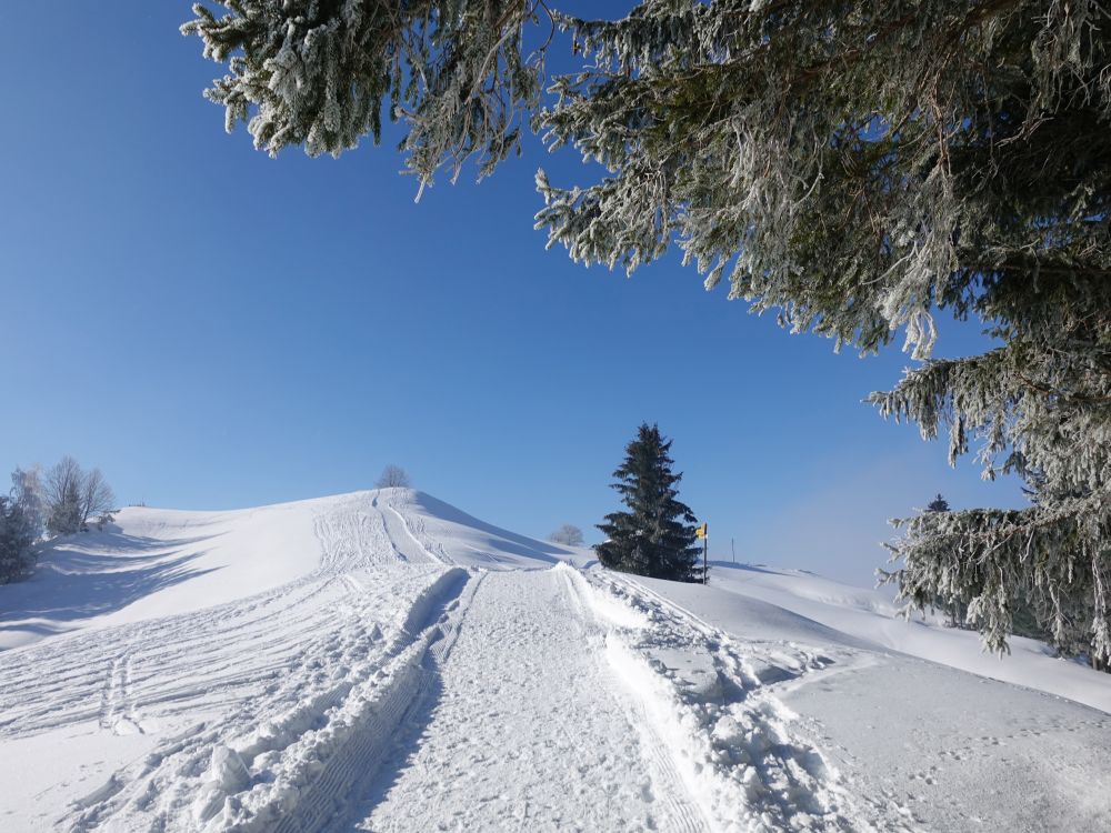 Alpenpanoramaweg