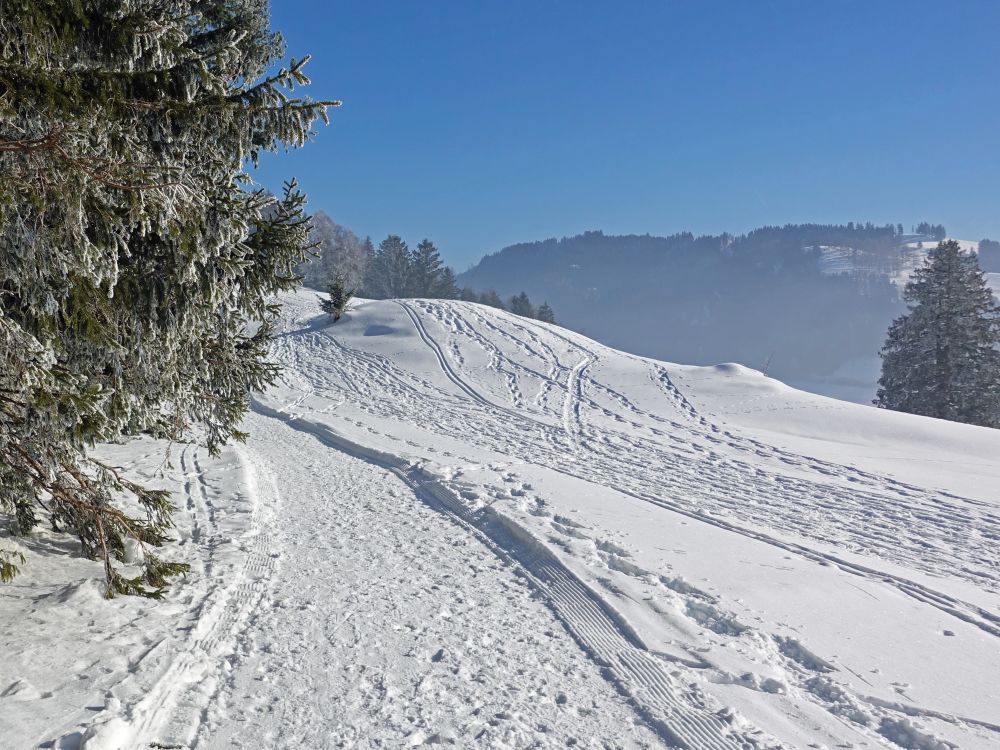 Alpenpanoramaweg