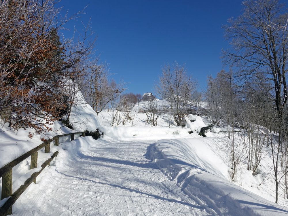 Blick auf Hohe Buche